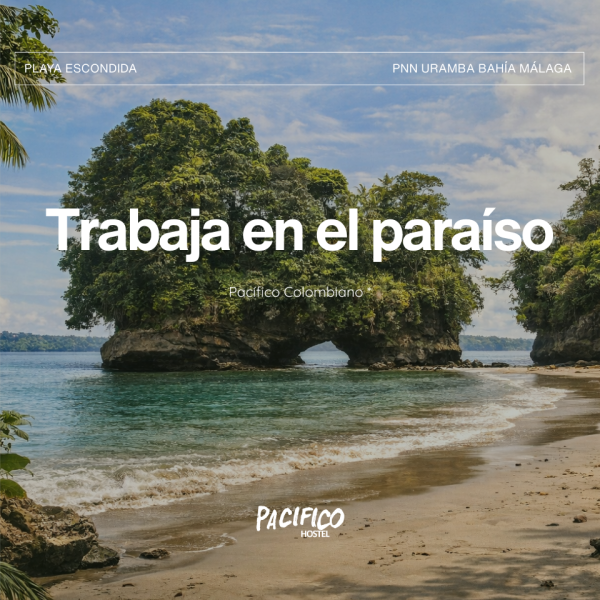 Jefe de Cocina - Pacifico Hostels