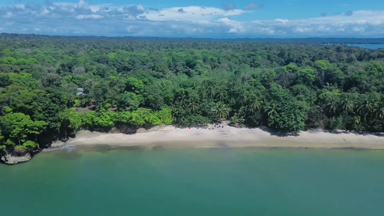 Playa Juan de Dios: arena clara, agua verde y selva
