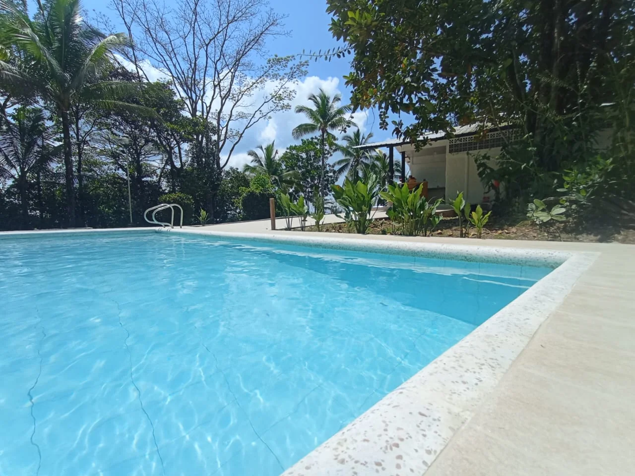 Piscina de Club House con palmeras y la casa al fondo
