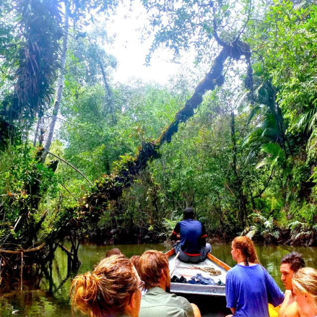 Grupo de viajeros en lancha por un canal de manglar